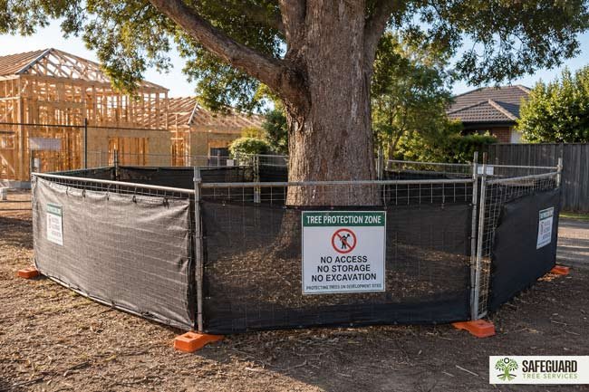 AS 4970:2025 Explained: What the New Tree Protection Standard Means for Development Projects 2 Tree protection fencing around mature tree on development site under AS 4970:2025