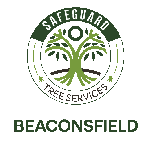 Safeguard Tree Services Beaconsfield – Professional Arborist and Tree Services