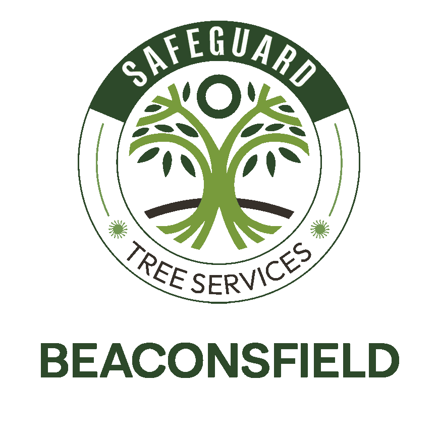 Safeguard Tree Services logo for Beaconsfield Tree Services, local qualified arborists