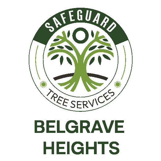Belgrave Heights Tree Services | Safeguard Tree Services 1 Safeguard Tree Services — Belgrave Heights Tree Services logo for professional local arborist branding