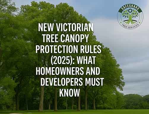 Victorian tree canopy protection rules 2025 – Melbourne suburban trees protected under new planning laws