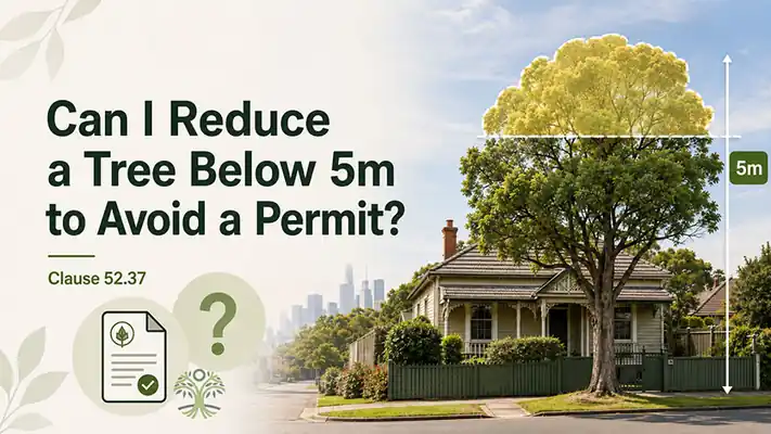 Clause 52.37 canopy tree height reduction below 5 metres in Victoria