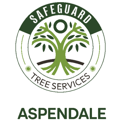 Aspendale Tree Services logo by Safeguard Tree Services – trusted local arborists in Melbourne’s south-east