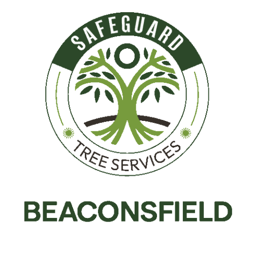 Safeguard Tree Services Beaconsfield – Professional Arborist and Tree Services