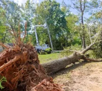 After-hours crew with lights making a storm-damaged area safe in Pakenham.