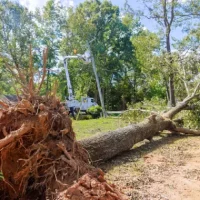 After-hours crew with lights making a storm-damaged area safe in Pakenham.