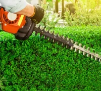 Gardener shaping a tall boundary hedge at a Pakenham home.