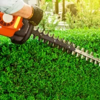 Gardener shaping a tall boundary hedge at a Pakenham home.