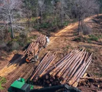 Excavator and chipper clearing vegetation on a Pakenham building site.