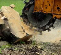 Compact stump grinder working beside a fence in Melbourne’s Pakenham area.