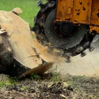 Compact stump grinder working beside a fence in Melbourne’s Pakenham area.
