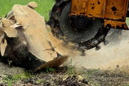 Compact stump grinder working beside a fence in Melbourne’s Pakenham area.
