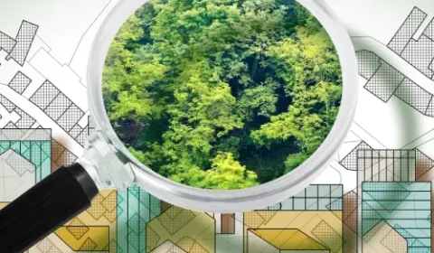 Council arborist checking a street tree while reviewing permit paperwork in Pakenham.