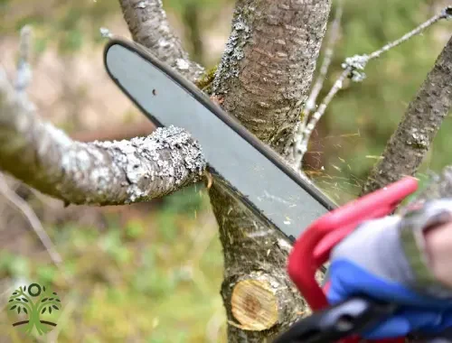 Selective pruning to clear rooflines on a Pakenham property.