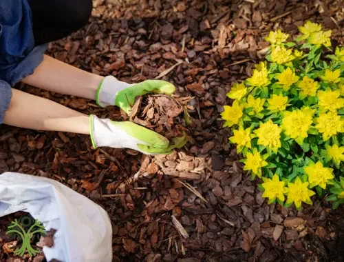 Tow-behind wood chipper processing branches on a Pakenham verge.