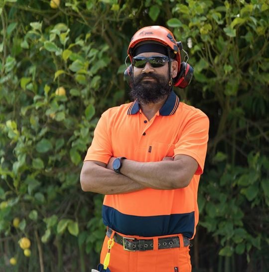 Qualified arborist assessing canopy health with binoculars in a Pakenham park.