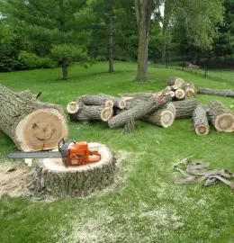 Ground crew cutting logs to size with a chainsaw in Pakenham.