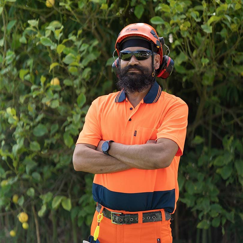 Qualified arborist assessing canopy health with binoculars in a Pakenham park.